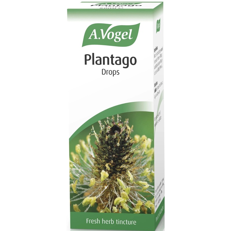Plantago 50ml