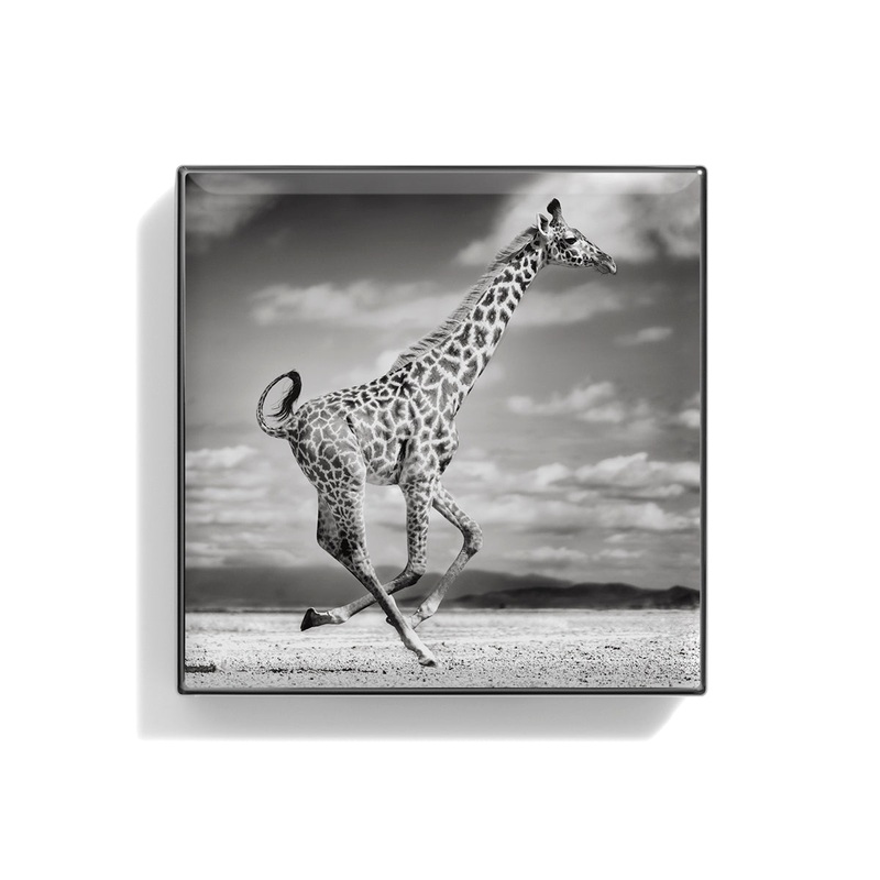 Luminescent Eye Shade Giraffe 2g