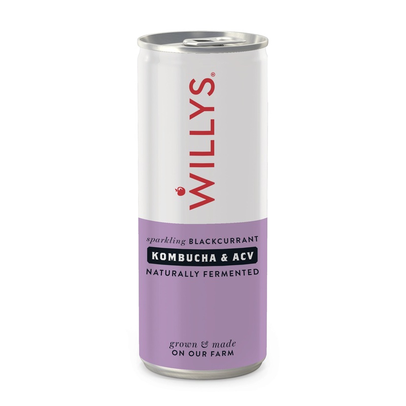 Sparkling Blackcurrant, Kombucha & Apple Cider Vinegar Drinks 250ml
