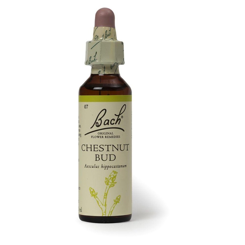 Original Flower Remedy Chestnut Bud Dropper 20MlFlower Essence