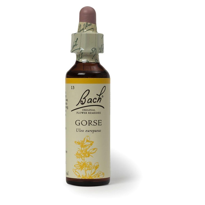 Original Flower Remedy Gorse Dropper 20MlFlower Essence