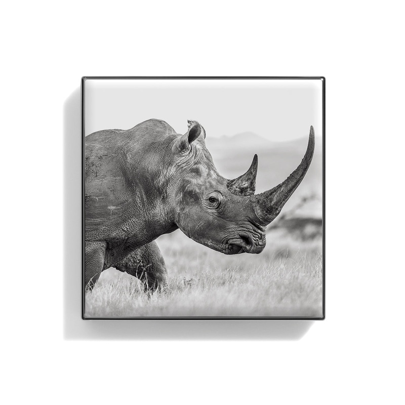 Luminescent Eye Shade Rhinoceros 2g