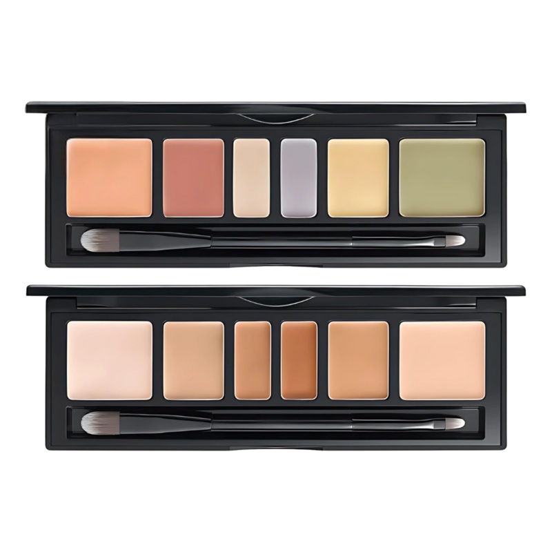 JUNG SAEM MOOL Artist Concealer Palette 6.6g Skin